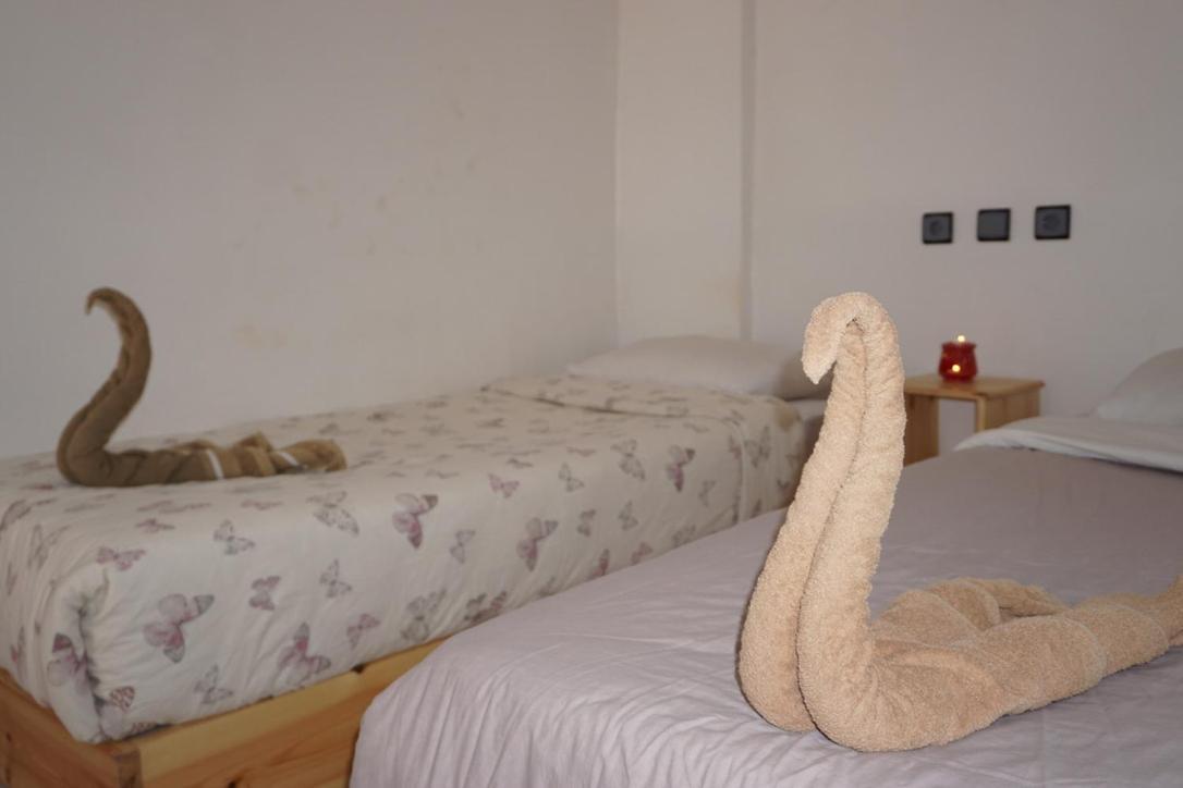 Hostel The Endless House Anchor Point Taghazout Exterior photo